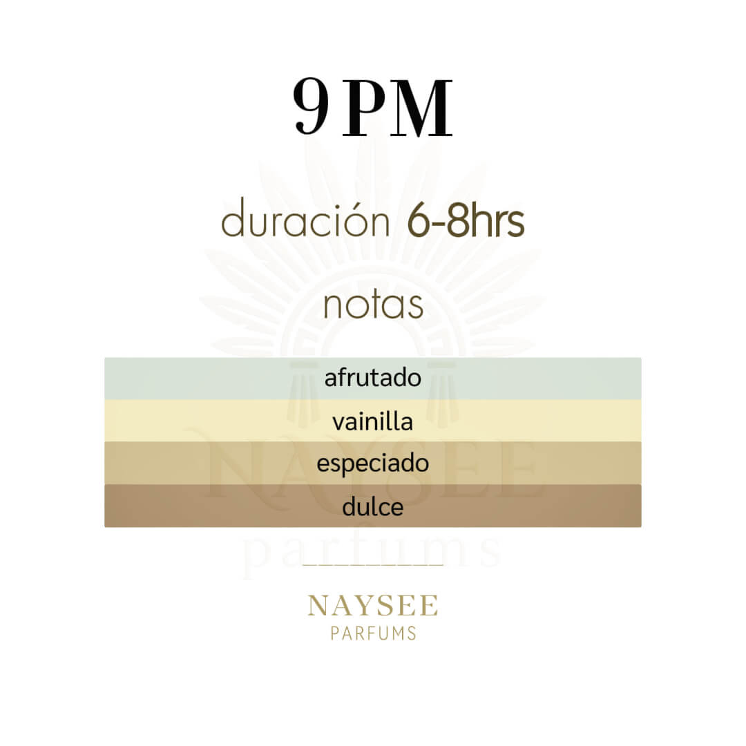 Afnan 9pm 100ml - Caballero