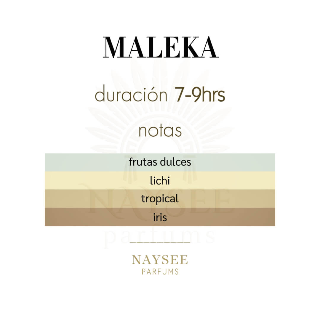 Club de Nuit Maleka 105ml - Dama