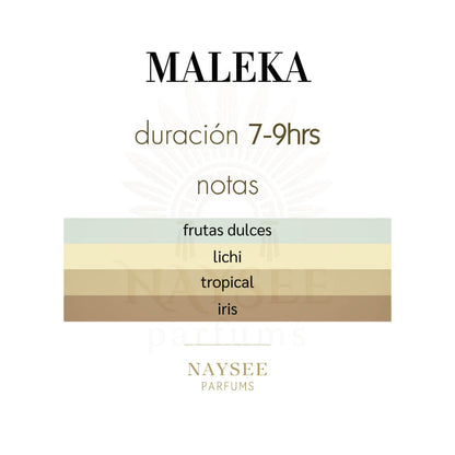 Club de Nuit Maleka 105ml - Dama